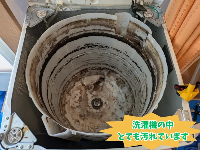 ✿ワカメが気になる✿カビ臭くてイライラ✿そんな悩みを徹底解決✿丁寧な作業で安心！サービスの画像