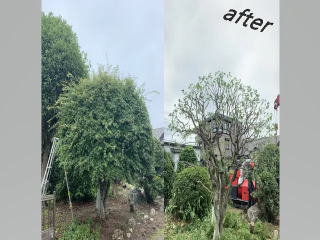 気軽に頼んで頂けるパパさん庭師がお伺いします！業界歴30年サービスの画像