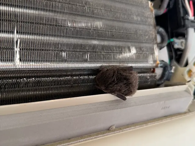 24時間対応★年中無休｜親切・丁寧◎事前打ち合わせで安心！サービスの画像