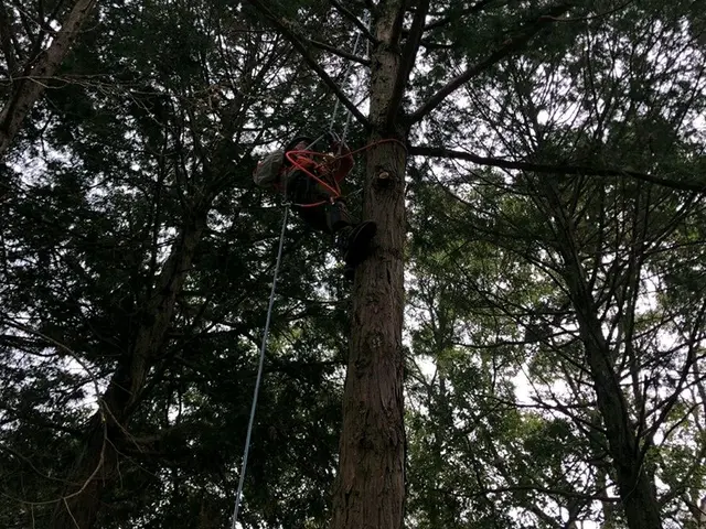 お庭の事のおまかせ下さい！　1級造園技能士　県知事賞受賞　必ず私が伺います！サービスの画像