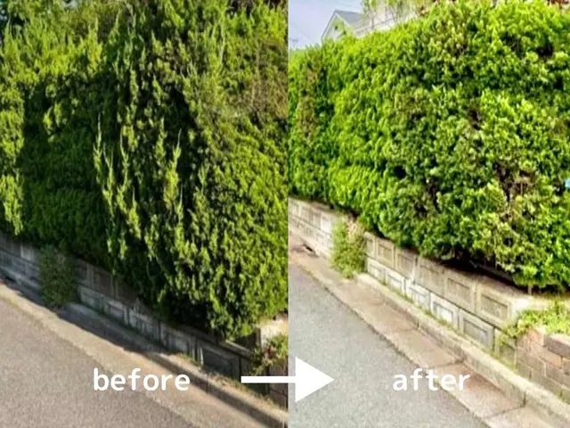 プロの技術でご満足いただけるように心を込めて作業いたしますサービスの画像