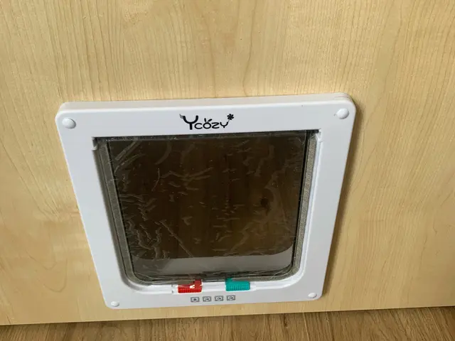 ペットドアお取り付け致します。壁用ペットドアもご相談ください。サービスの画像