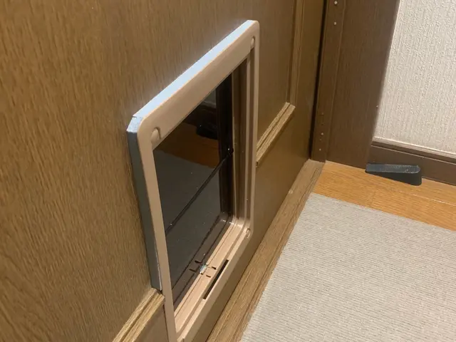 ペットドアお取り付け致します。壁用ペットドアもご相談ください。サービスの画像