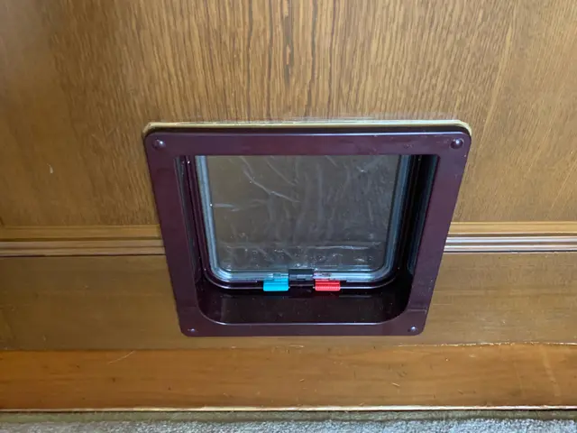 ペットドアお取り付け致します。壁用ペットドアもご相談ください。サービスの画像