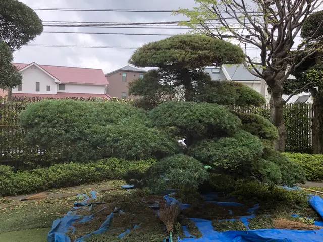 東京・神奈川◇業歴18年◇緑と花の心地よい空間づくりをお手伝い！サービスの画像