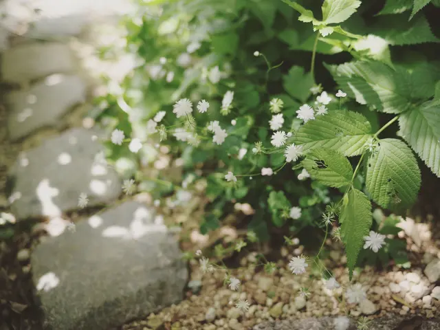 東京・神奈川◇業歴18年◇緑と花の心地よい空間づくりをお手伝い！サービスの画像