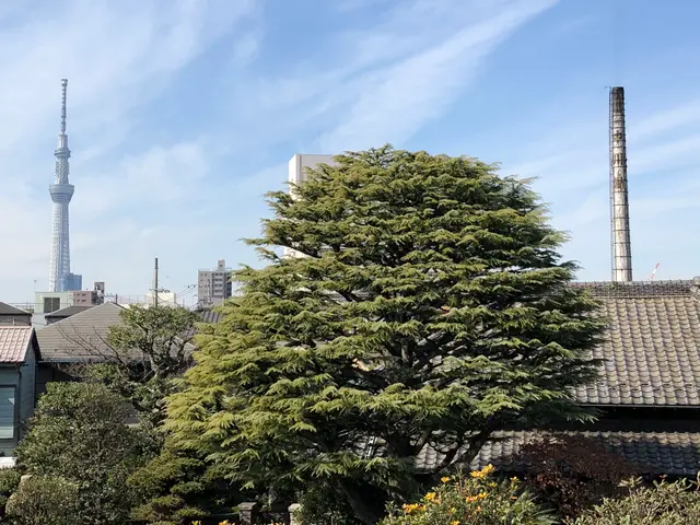 東京・神奈川◇業歴18年◇緑と花の心地よい空間づくりをお手伝い！サービスの画像