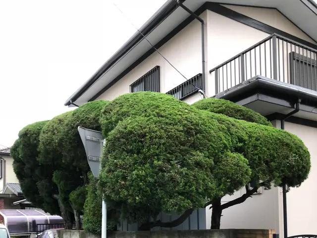 東京・神奈川◇業歴18年◇緑と花の心地よい空間づくりをお手伝い！サービスの画像