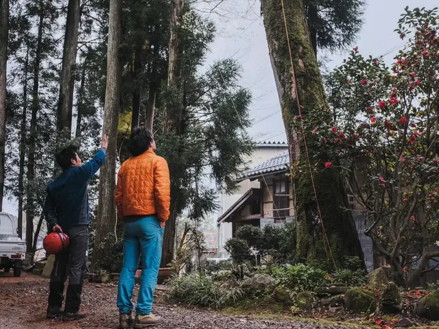 ◆3月、4月受付可能◆◇樹木のお悩み◇高木、狭い場所でもお任せ下さい！サービスの画像