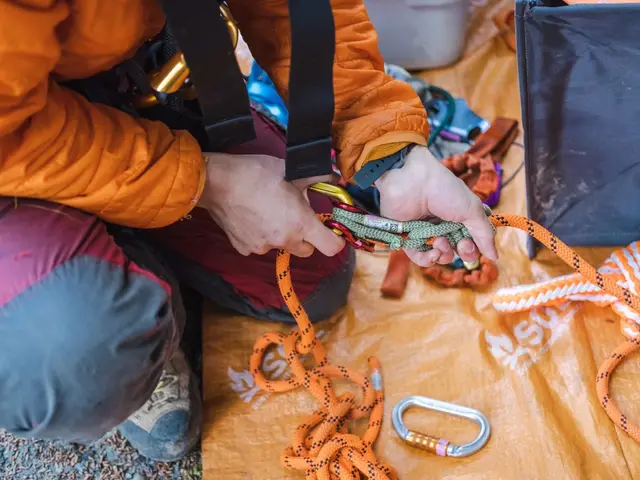 ◆3月、4月受付可能◆◇樹木のお悩み◇高木、狭い場所でもお任せ下さい！サービスの画像