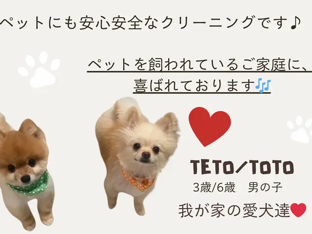 【大手FC店】◉介護施設や幼稚園で使用中◉自社開発の安心安全な液剤使用◉サービスの画像