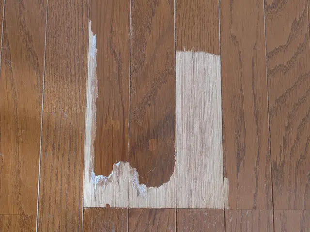 プロの技術でご満足いただけるように心を込めて作業いたしますサービスの画像