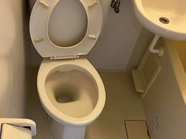 プロの技術でご満足いただけるように心を込めて作業いたしますサービスの画像