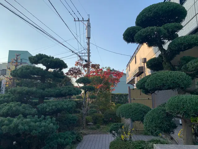 “なんでも屋さん”ではマネできない【プロの技術】をお約束します！サービスの画像