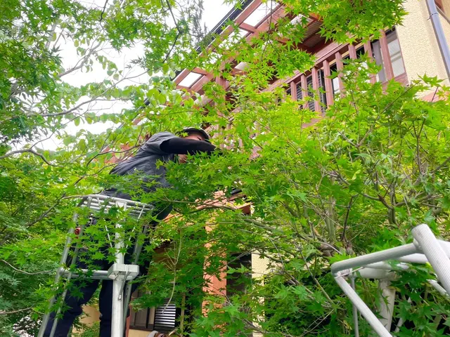 “なんでも屋さん”ではマネできない【プロの技術】をお約束します！サービスの画像