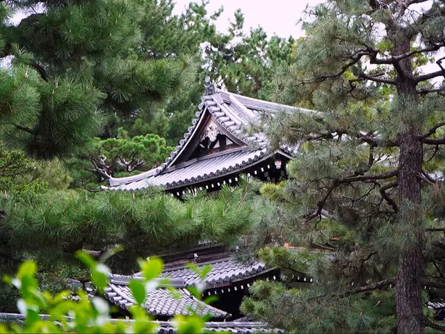 開店しました！【プロの店長が伺います】豊富な経験と知識で安心！作業外注一切なし◎