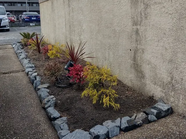 確かな技術で植え込み、移植を行います。大きなものは根回し後１年越しで移植します。サービスの画像