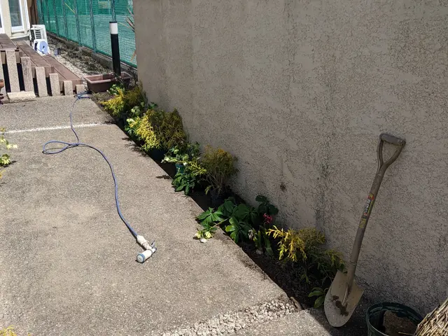 確かな技術で植え込み、移植を行います。大きなものは根回し後１年越しで移植します。サービスの画像