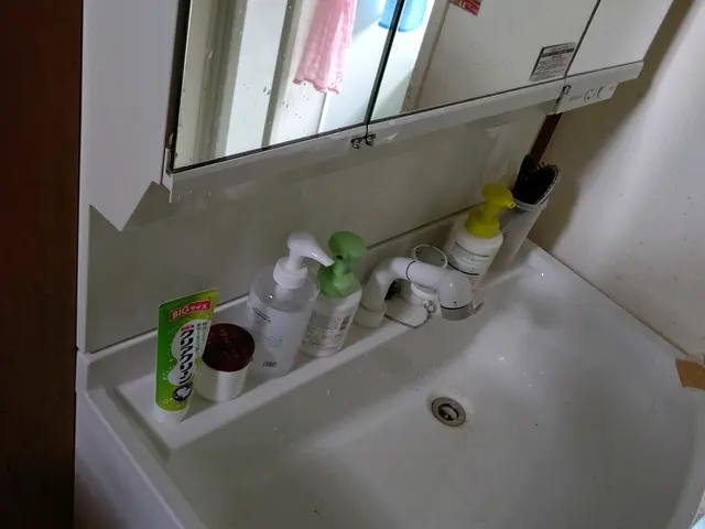 洗面所を明るくして、日々の生活も豊かにしましょう！気持ちも心も軽やかに！サービスの画像