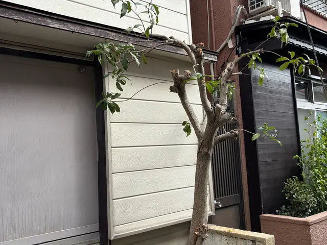 イメージ通りに仕上げる丁寧な作業でお客様満足度の高いプロによる安心サービスサービスの画像