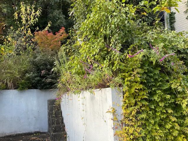 イメージ通りに仕上げる丁寧な作業でお客様満足度の高いプロによる安心サービスサービスの画像