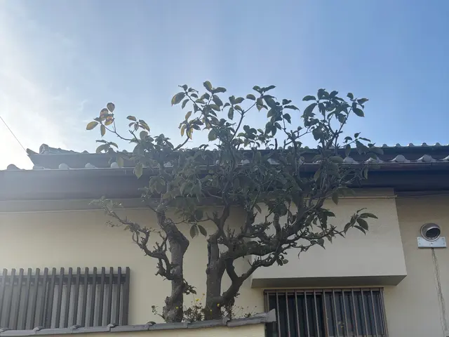 イメージ通りに仕上げる丁寧な作業でお客様満足度の高いプロによる安心サービスサービスの画像