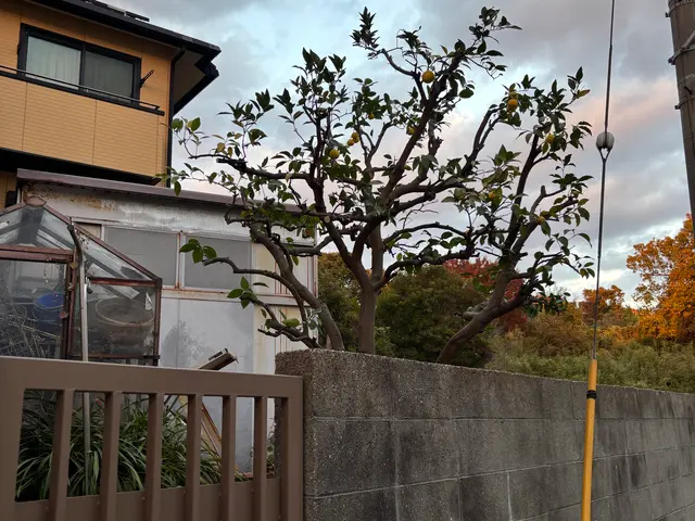 イメージ通りに仕上げる丁寧な作業でお客様満足度の高いプロによる安心サービスサービスの画像