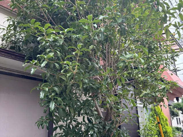 イメージ通りに仕上げる丁寧な作業でお客様満足度の高いプロによる安心サービスサービスの画像