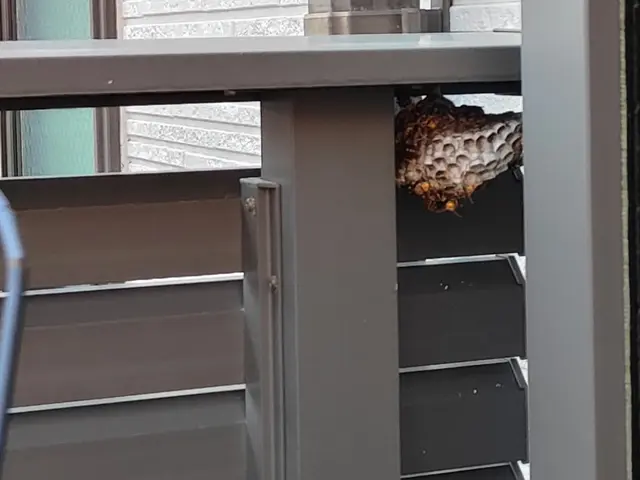蜂の巣駆除撤去時間外対応可能！平日、土日、夕方可能！サービスの画像