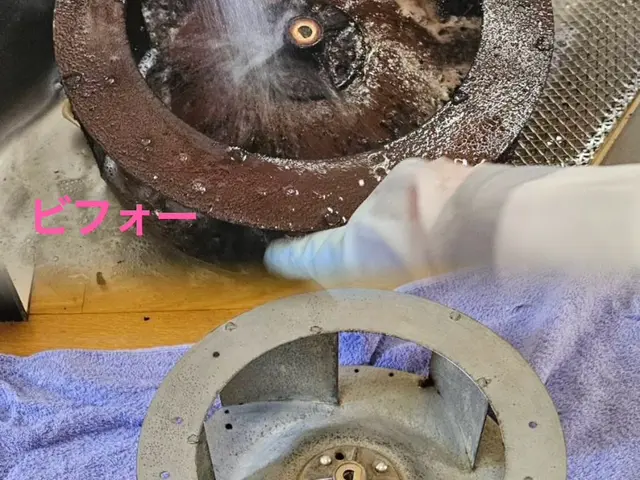 必ず女性と２人作業■予約受付中※PayPay支払い可能※掃除で運気もアップサービスの画像