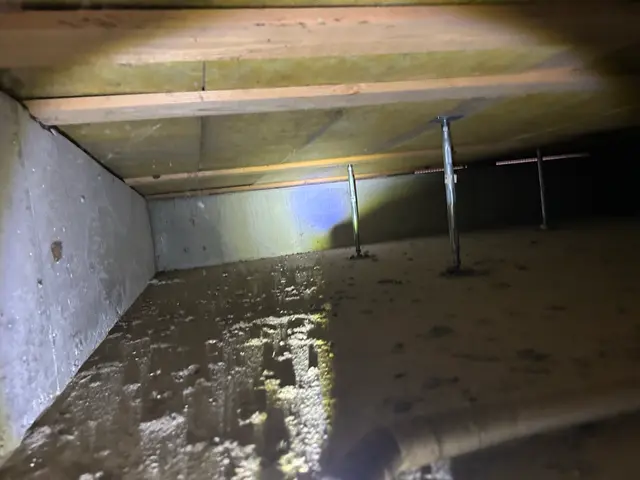 【明石発】シロアリ予防された事ない方や被害ある方、一度ご相談ください。格安施工！サービスの画像