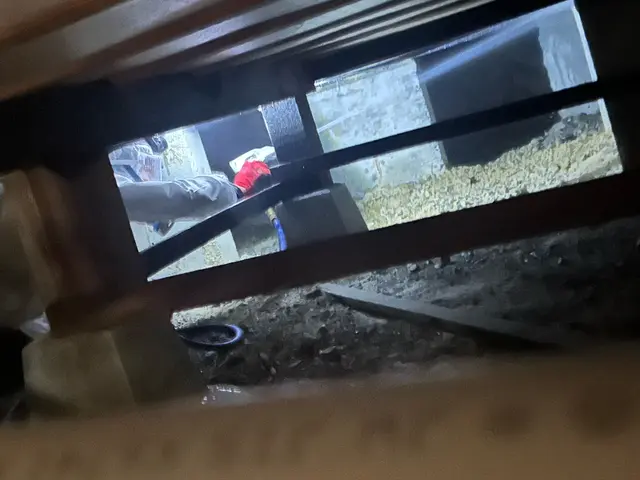 【明石発】シロアリ予防された事ない方や被害ある方、一度ご相談ください。格安施工！サービスの画像