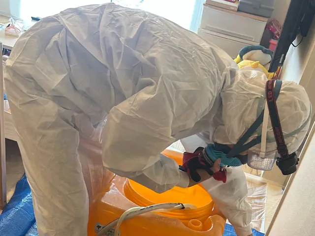 【明石発】シロアリ予防された事ない方や被害ある方、一度ご相談ください。格安施工！サービスの画像