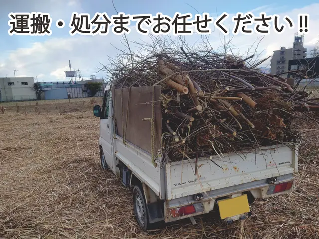 【伐採・抜根・回収】地域密着店◎業歴10年の自社スタッフがお伺いします！サービスの画像