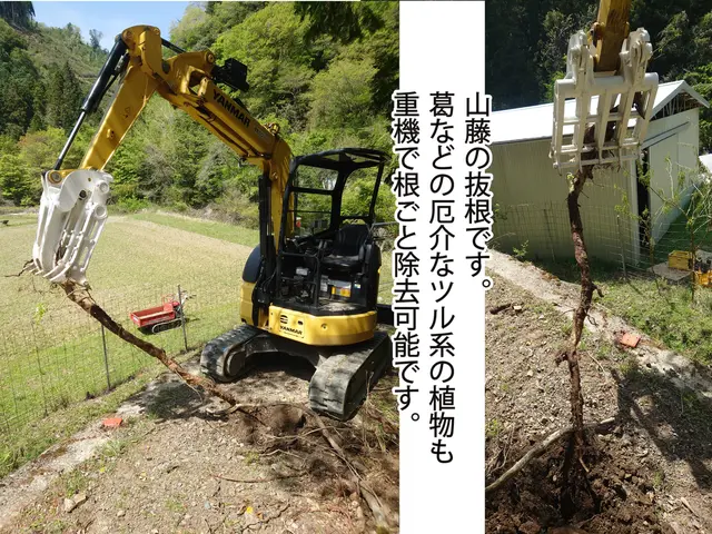 【伐採・抜根・回収】地域密着店◎業歴10年の自社スタッフがお伺いします！サービスの画像