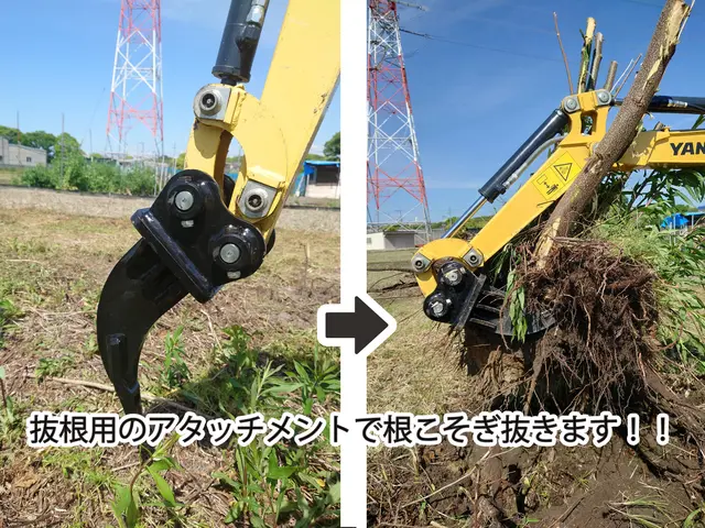 【伐採・抜根・回収】地域密着店◎業歴10年の自社スタッフがお伺いします！サービスの画像