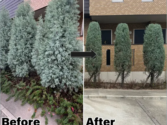 抱えてる問題解決しませんか？写真見積もり出来ます！現地見積もりも無料で安心です！サービスの画像