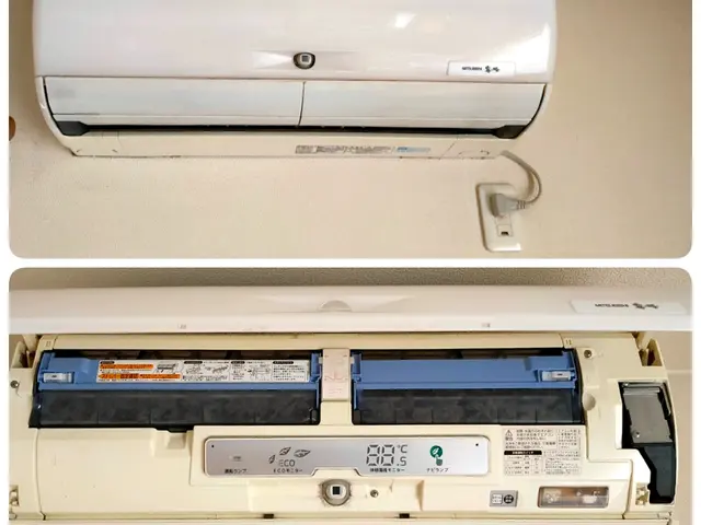 お掃除ロボ付きエアコンでもクリーニンが必要です。分解洗浄で綺麗な空気を！サービスの画像