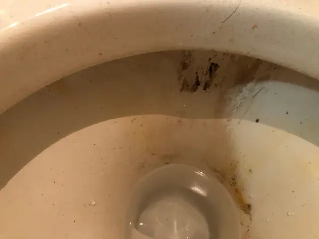 《関東中心》安心の損害保険加入済み♪大手での業務経験あり◎サービスの画像