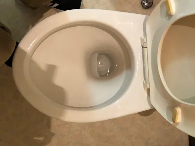 《関東中心》安心の損害保険加入済み♪大手での業務経験あり◎サービスの画像