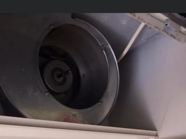 ★業界歴16年★ 経験をいかした安心作業◎コロナ対策◎サービスの画像