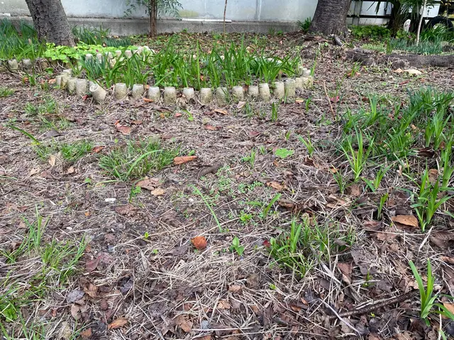 面倒な『落ち葉』掃除もお任せください！しっかり綺麗にしますサービスの画像