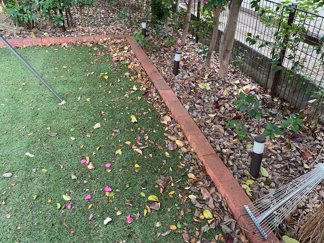 2月のご依頼募集中！面倒な『落ち葉』掃除もお任せください！しっかり綺麗にしますサービスの画像