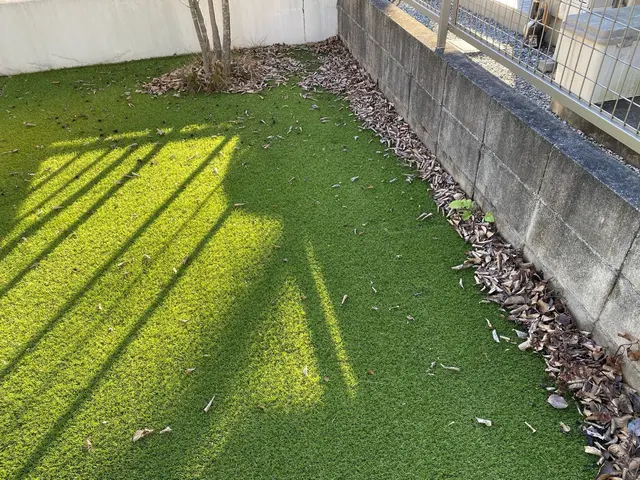 2月のご依頼募集中！面倒な『落ち葉』掃除もお任せください！しっかり綺麗にしますサービスの画像