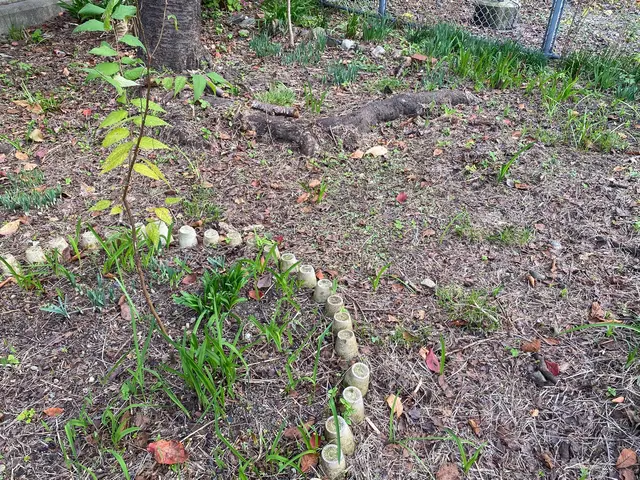 面倒な『落ち葉』掃除もお任せください！しっかり綺麗にしますサービスの画像