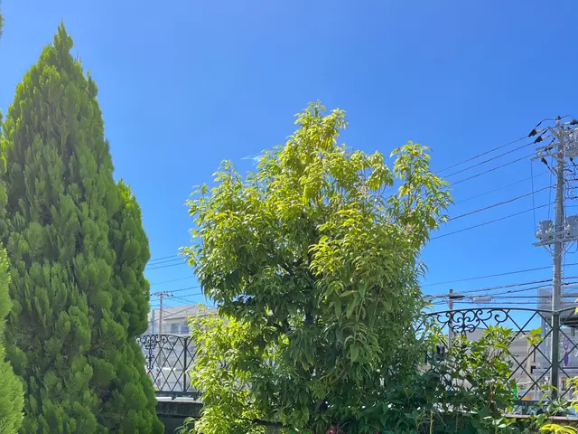 夫婦二人三脚で丁寧な作業と迅速対応！営業時間外も相談可◎サービスの画像