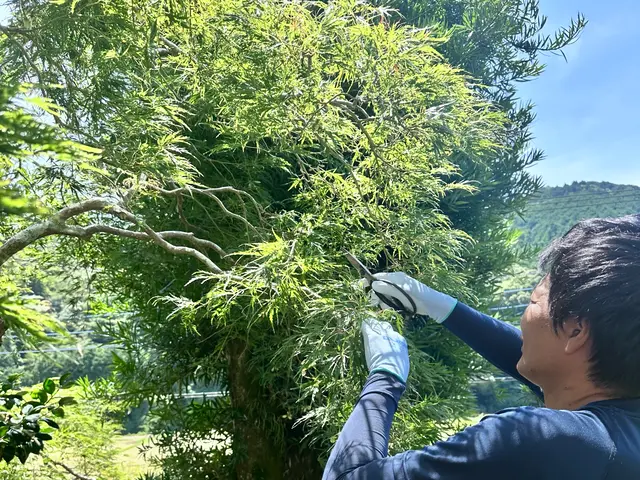 夫婦二人三脚で丁寧な作業と迅速対応！営業時間外も相談可◎サービスの画像