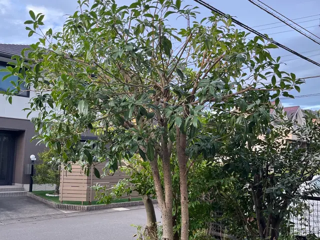 夫婦二人三脚で丁寧な作業と迅速対応！営業時間外も相談可◎サービスの画像