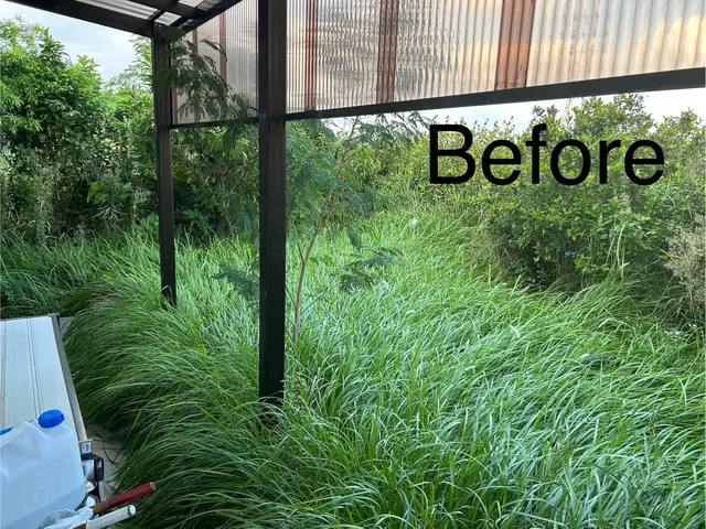 庭木の剪定・伐採、お庭のお手入れ各種/あらゆるご要望にお応えします。サービスの画像