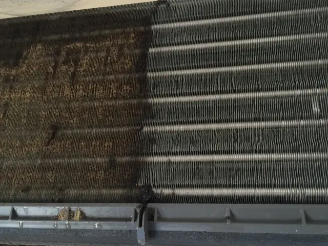 【光触媒施工店】選べるお子様特典、口に入れても安全な天然洗剤北九州市下関市近郊サービスの画像